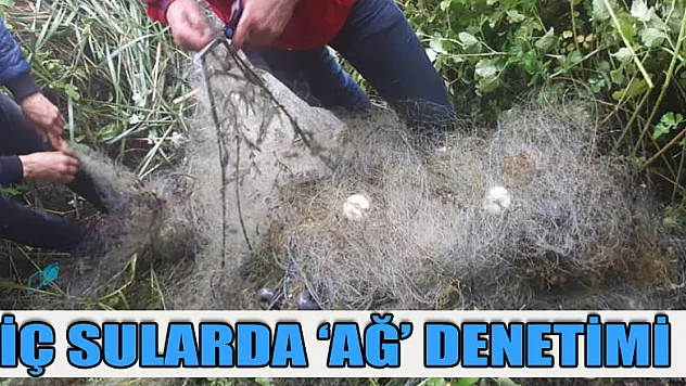 İÇ SULARDA 'AĞ' DENETİMİ