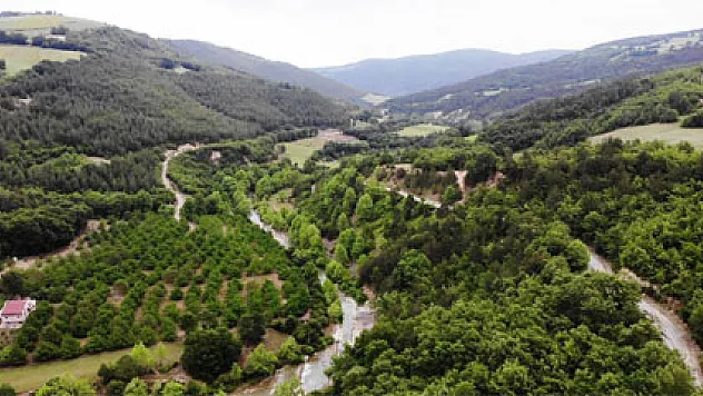 Samsun'da kurulacak 'Şifa Ormanı' Orta Doğu'da tek olacak