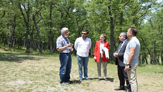'Kılavuz Ormanı' mesire alanı oldu