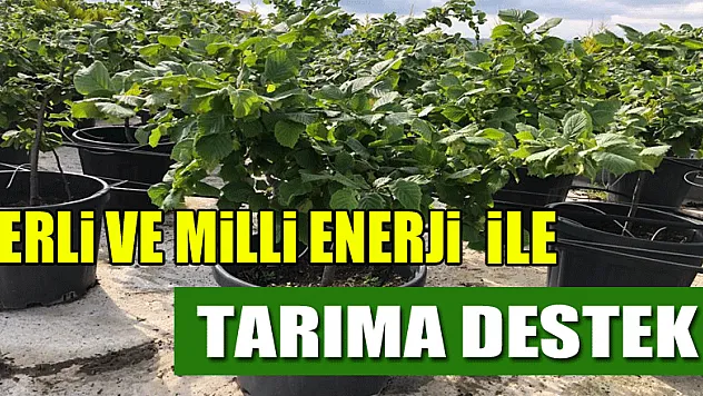 Yerli ve milli enerji ile tarıma destek