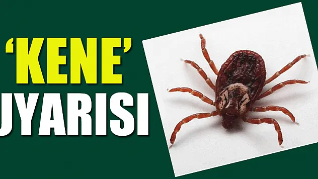 Tarım ve Orman Müdürlüğünden 'kene' uyarısı