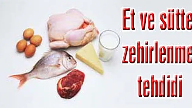 Et ve sütte zehirlenme tehdidi