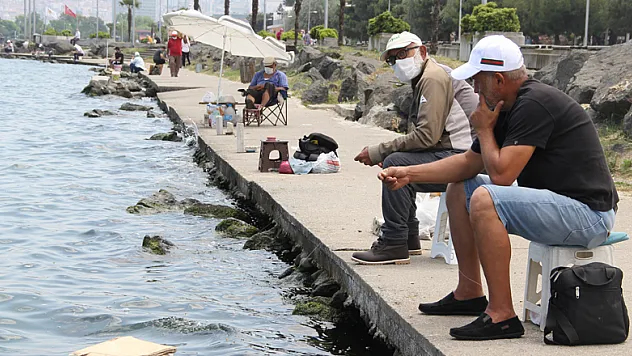 Samsun'da sıcaktan bunalan kendini sahile attı