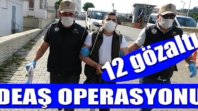 Samsun'da DEAŞ operasyonu: 12 gözaltı