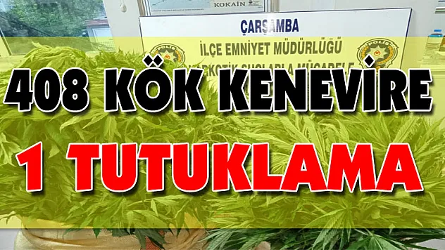 408 kök kenevire 1 tutuklama
