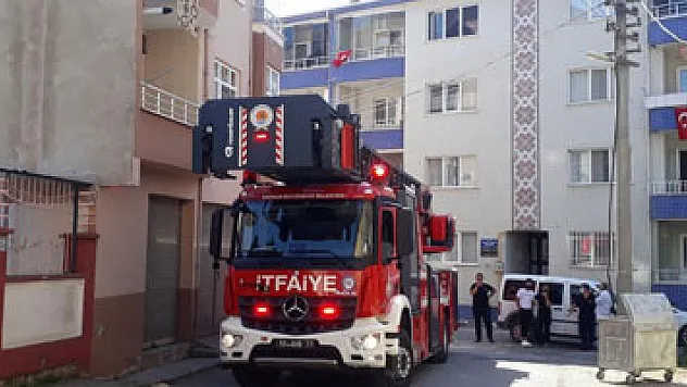 Sinekliğe sıkışan güvercin kurtarıldı