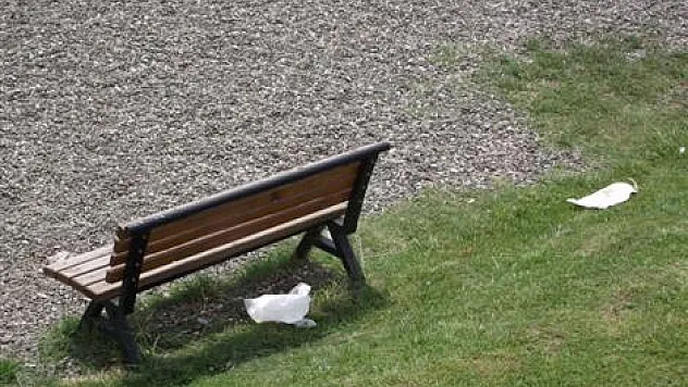 Parkları kirletenlere tepki gösterdiler