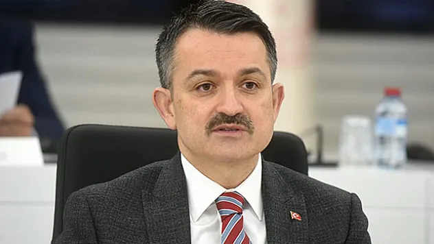 DESTEK ÖDEMELERİ
