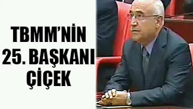 TBMM'nin 25. Başkanı belli oldu