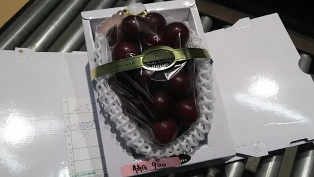 Japonya'da bir salkım üzüme rekor fiyat