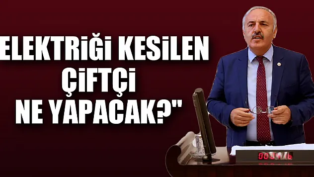 'ELEKTRİĞİ KESİLEN ÇİFTÇİ NE YAPACAK?'