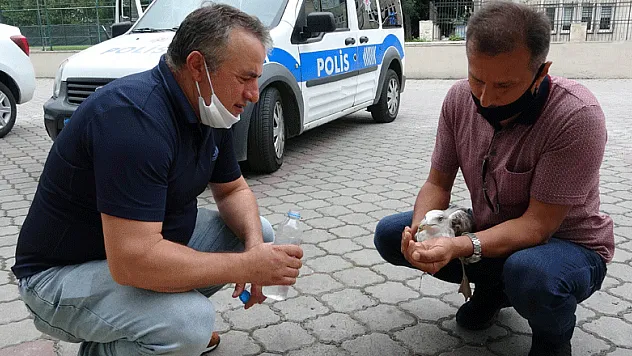 Uçamayan martıya polis şefkati