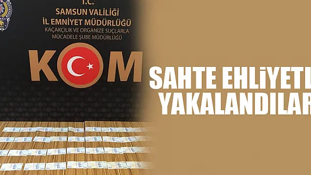 Sahte ehliyetle yakalandılar