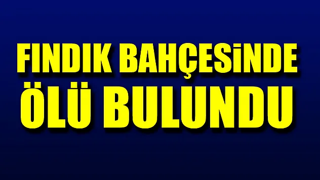 Fındık bahçesinde ölü bulundu