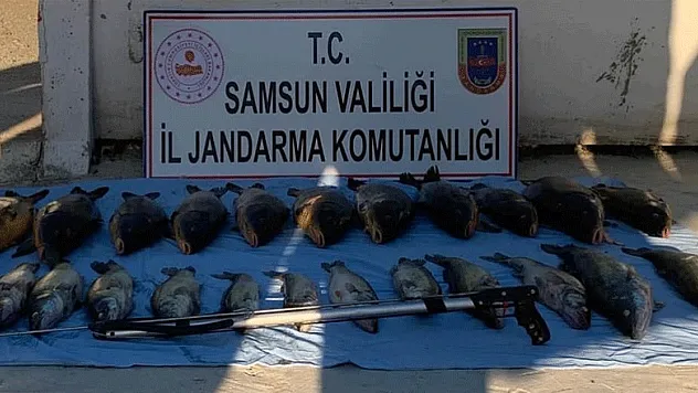 Altınkaya Baraj Gölü'nde zıpkınla kaçak avlanan 1 kişi yakalandı