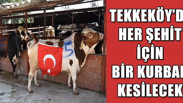 Tekkeköy'de her şehit için bir kurban kesilecek