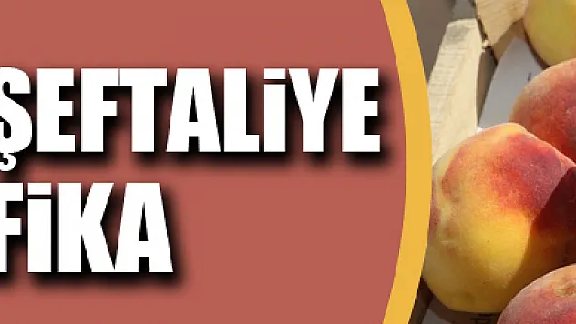 Kalıntısız şeftaliye sertifika