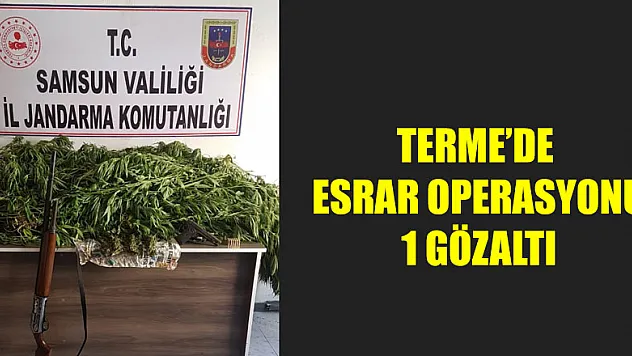 Terme'de esrar operasyonu