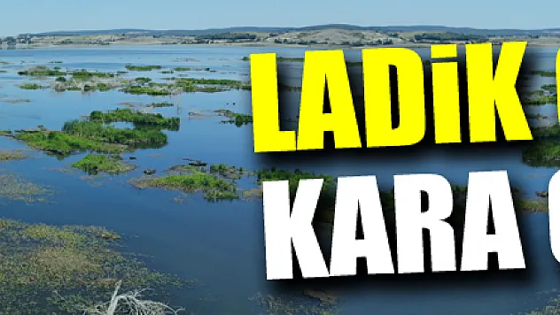 Ladik Gölü'nde kara göründü