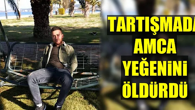 Arazi tartışmasında amca, yeğenini öldürdü