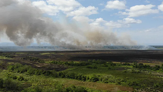 Sazlık yangınında 200 hektarlık alan zarar gördü