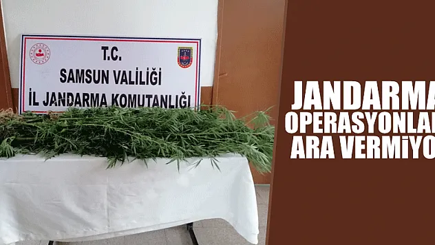 Jandarmanın operasyonları ara vermiyor