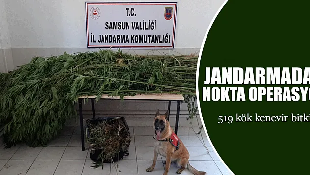 jandarmadan nokta operasyon