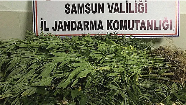 Samsun'da 7 kilo kubar esrar ele geçirildi