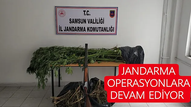 Jandarma operasyonlara devam ediyor