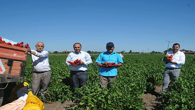 Bu biberin bir tanesi 250 gram geliyor