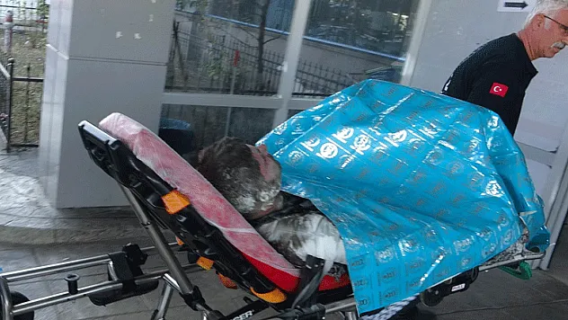 Akrabasını uyuşturucudan ihbar edince pişman olup kendini yaktı