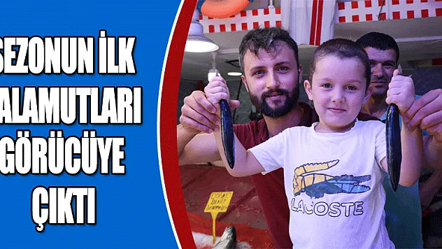 Sezonun ilk palamutları görücüye çıktı