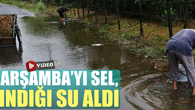 ÇARŞAMBA'YI SEL, FINDIĞI SU ALDI