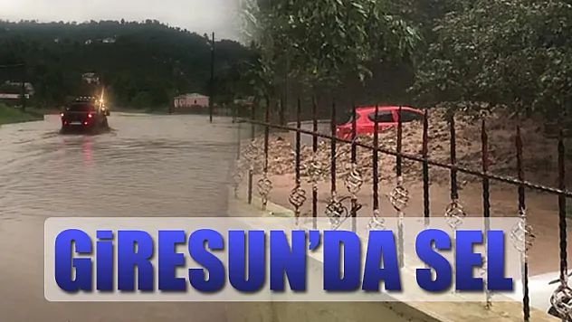 Giresun'un Yağlıdere ilçesinde sel   
