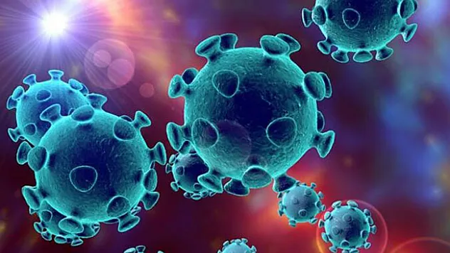 Prof. Dr. Oğuztürk uyardı: 'Deride döküntü Covid-19 belirtisi olabilir'