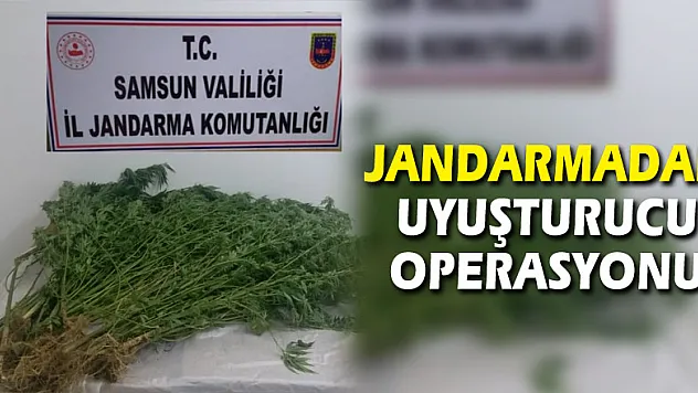 Jandarmadan uyuşturucu operasyonu