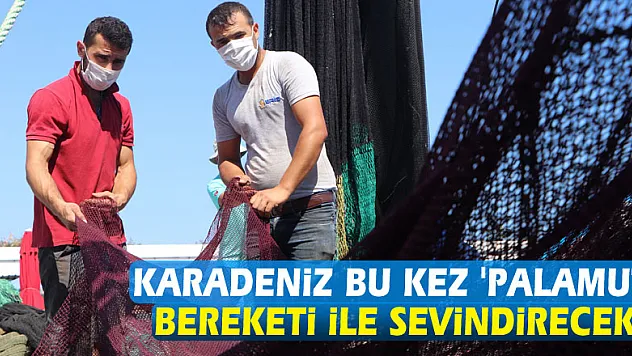 Karadeniz bu kez 'palamut' bereketi ile sevindirecek