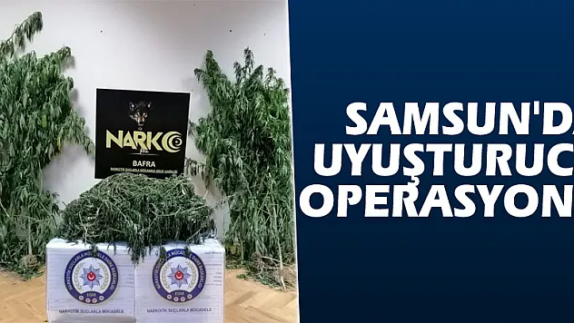 Samsun'da uyuşturucu operasyonu