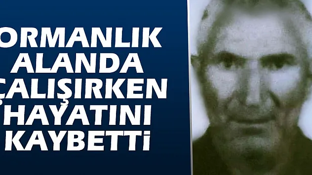 Ormanlık alanda çalışırken hayatını kaybetti