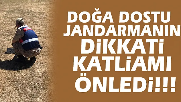 Samsun'da doğa  dostu  jandarmanın dikkati katliamı önledi!!!