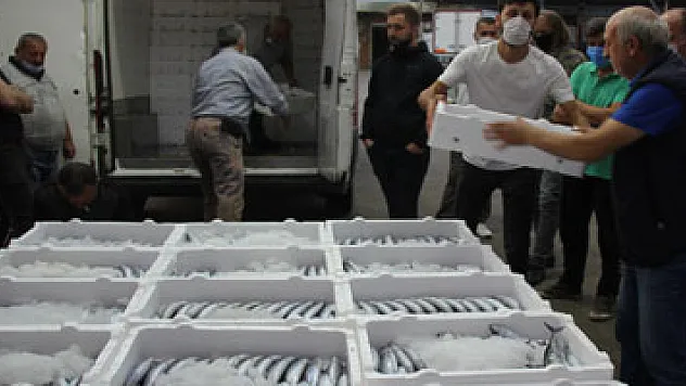 Rize'de denize açılan balıkçılar kasalar dolusu palamutla döndü