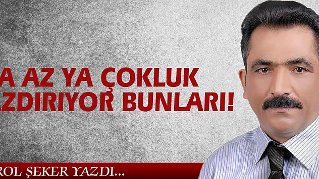 YA AZ YA ÇOKLUK AZDIRIYOR BUNLARI!