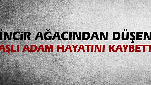 İncir ağacından düşen yaşlı adam hayatını kaybetti