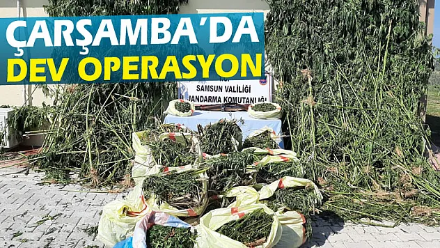 Çarşamba'da dev operasyon