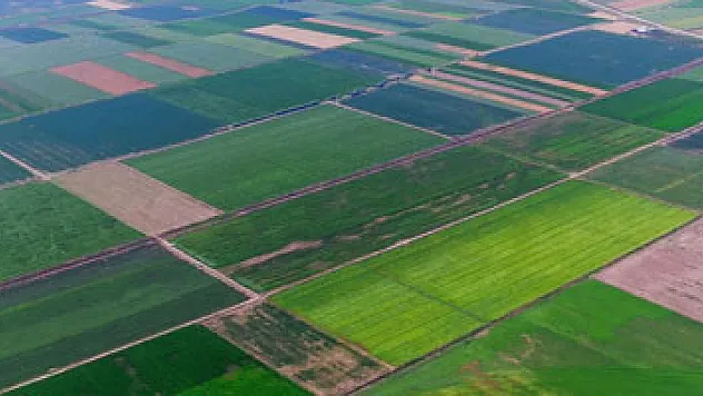 Prof. Dr. Demir: 'Türkiye'nin geleceği tarım ve tarıma dayalı sanayide'
