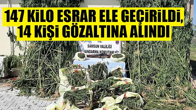 Samsun'da 147 kilo esrar ele geçirildi, 14 kişi gözaltına alındı 