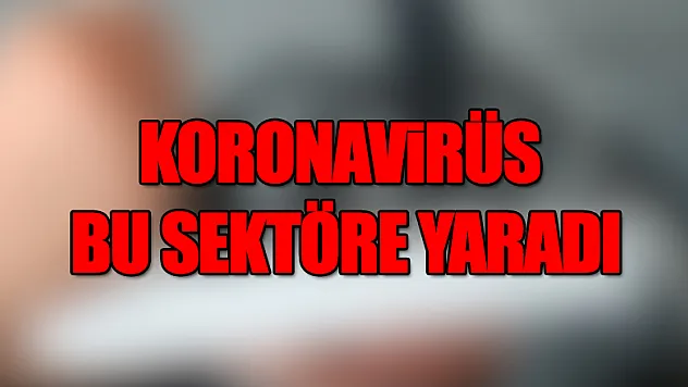 Korona virüs bu sektöre yaradı 
