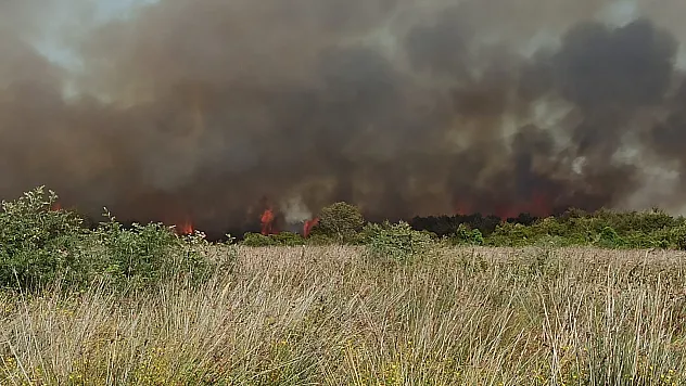 Kızılırmak Deltası'nda yangın