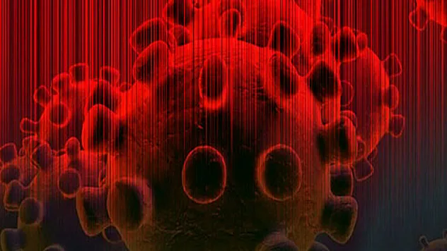 Dünya Sağlık Örgütü (WHO)'nden açıklama