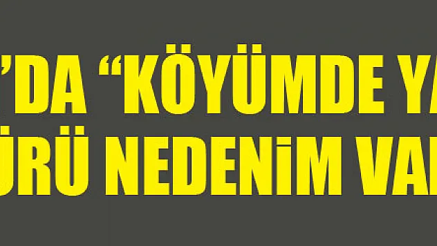 Samsun'da 'Köyümde Yaşamak İçin Bir Sürü Nedenim Var Projesi'